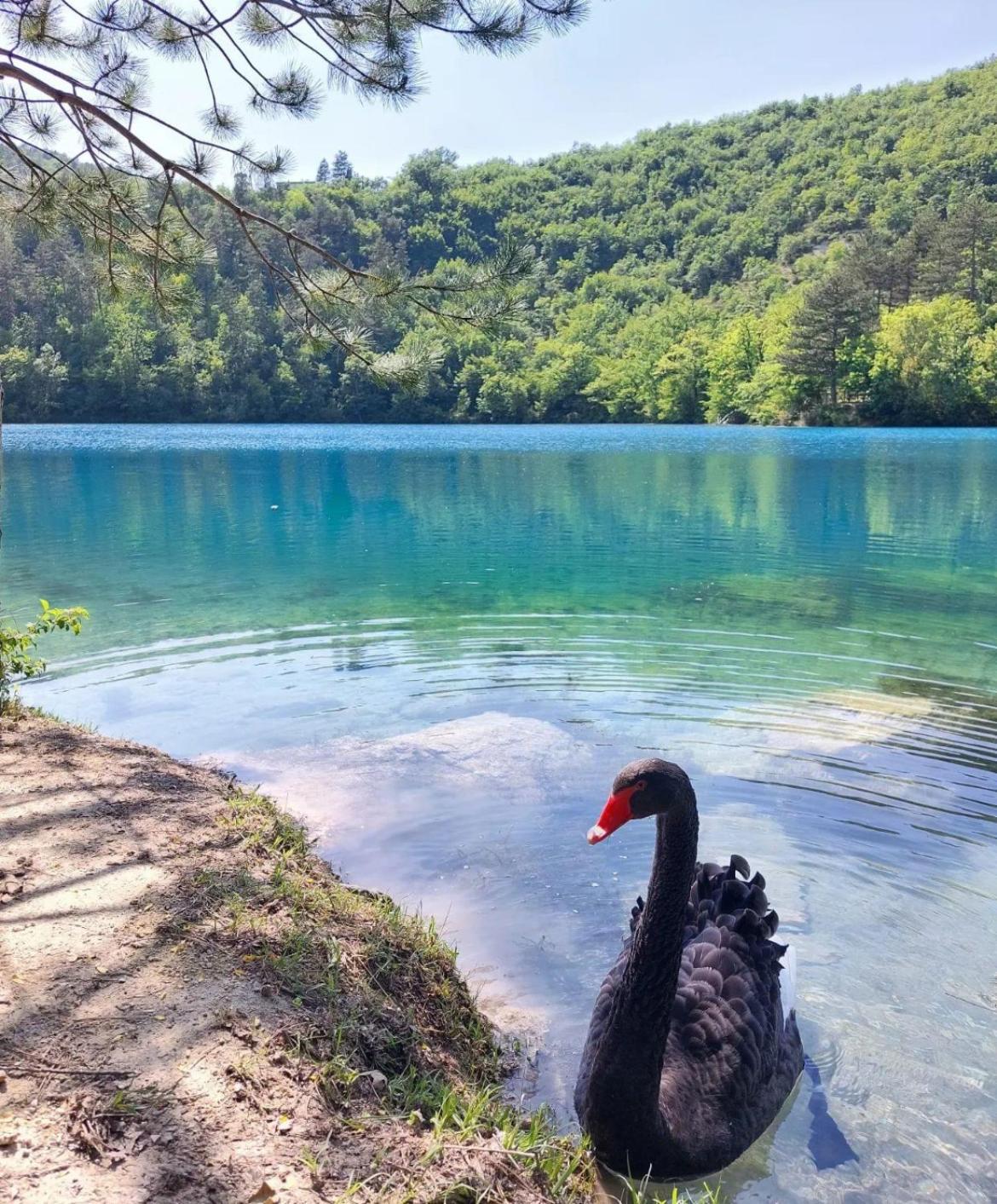 Locanda Della Pieve Pievebovigliana Zewnętrze zdjęcie